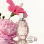 jimmy choo l'eau edt